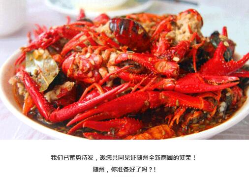  /></p>
<p> </p>
<p><strong>我們已蓄勢(shì)待發(fā)，邀您共同見(jiàn)證隨州全新商圈的繁榮！</strong></p>
<p><strong>隨州，你準(zhǔn)備好了嗎？!</strong></p>
  
 
    
 
  <div   id=