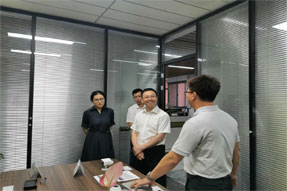成都市龍泉驛區副區長楊偉一行蒞臨清研微視參觀考察